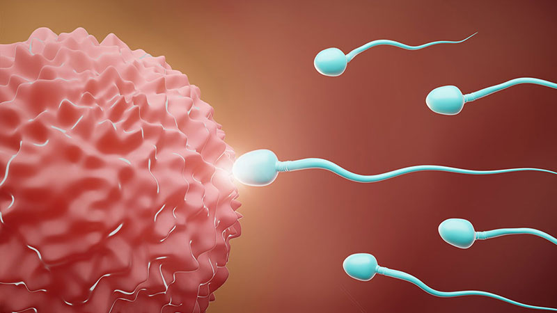 تولید اسپرم در سه ماه اول بهبودی