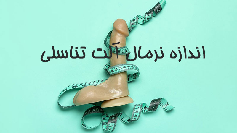 اندازه نرمال آلت تناسلی